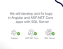 professionally fix bugs and develop your web app