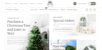 develop a premium ecommerce store for your business