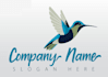 design creative hummingbird logo