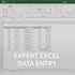 do fast and accurate data entry services