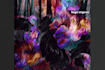design and animate abstract album cover art