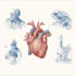 do medical and scientific illustrations