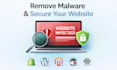manage vps, server administration and website security