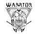 design professional viking warrior logo for your brand