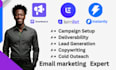 setup optimize manage cold email outreach on instantly smartlead lemlist