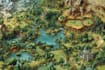 draw a beautiful fantasy map for you