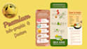 design professional infographics and posters