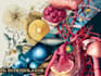 create customized medical and scientific illustration