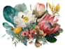 paint watercolour botanical illustrations