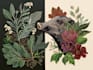 draw an animal and botanical illustration