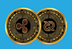 do 3d coin, bitcoin, meme, animal, crypto logo design