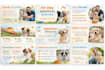 improve powerpoint and design business presentation