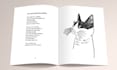 create a custom illustrated zine