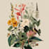 paint watercolour botanical illustrations