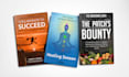 do premium book cover design or ebook design and interior formatting