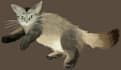 draw your cats portrait in a hand drawn adorable style