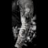 create a tattoo design of tattoo sleeve