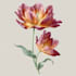 made a botanical illustration depending on your concept