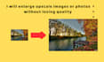 professionally enlarge and upscale your images  in 24 hours