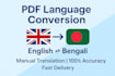 translate your PDF file into any language professionally