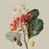 paint botanical and scientific illustrations