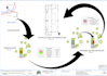convert PDF or hand sketch to precise autocad dwg drafting