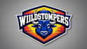 design buffalo mascot logo with express deliver