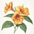 do botanical and anatomical scientific illustrations