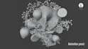 do visually captivating 3d water simulation fluid simulation, 3d product anima