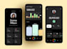 develop fintech app, crowdfunding app, bnpl app with payment integration api