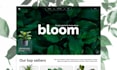 develop a custom webflow website or figma to webflow