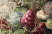 paint botanical and scientific illustrations