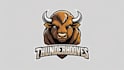 design creative bison mascot logo in very short time