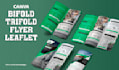 design canva flyer, bifold, trifold brochure, marketing flyer