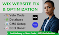 fix optimize your wix website with wix velo code, cms, database, apis, SEO