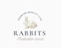 create a fantastic rabbit logo design