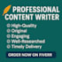 write articles blog posts product descriptions