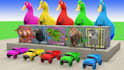 create stunning 3d animal animation