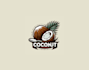 make a clean and professional coconut logo