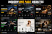 create a modern professional one page website