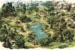 draw fantasy map illustration for dnd, novels