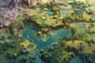 do you rpg fantasy map