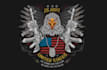 design a proffesional veteran logo