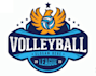 make a proffesional volleyball logo