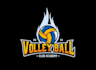 design a unique volleyball logo with original concept