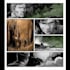 create sequential comic book illustration, book art, covers