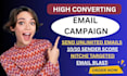 do bulk email marketing campaign for massive outreach