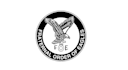 create  beautiful excellent eagle logo