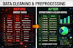 clean and preprocess your dataset using python