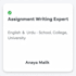 write beautiful and clean hand written assignment in english